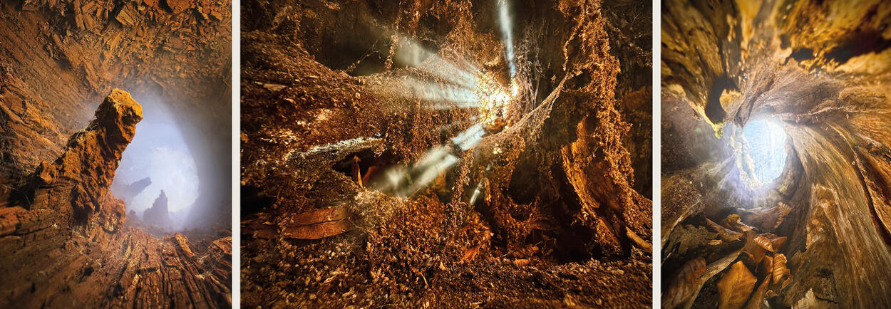 Atrium Sacrum__01.jpg